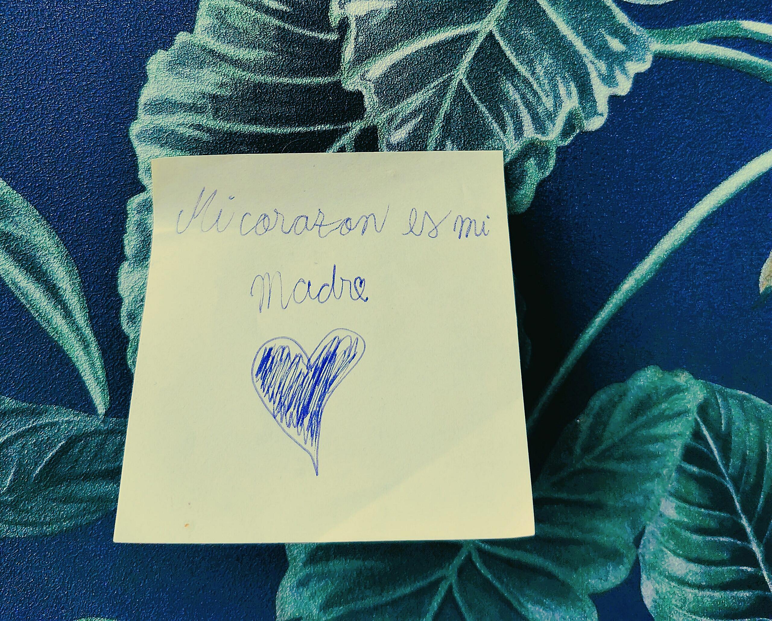 Ce se întâmplă dacă tu ca adult vrei să-ți mulțumești părinții
